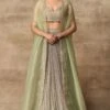 Ridhi Mehra Aria Apple Green Embroidered Lehenga Set
