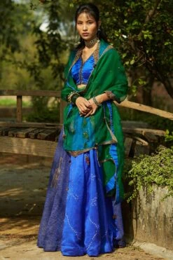 Medha Peacock Blue Panelled Lehenga Set