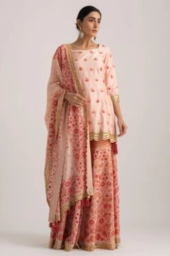 Sharara Set With Hand Embroidery & Sequins Work -Echo Clohting Shop sa16 3