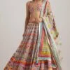 Neo Phulkari Lehenga Set With Mirrorwork